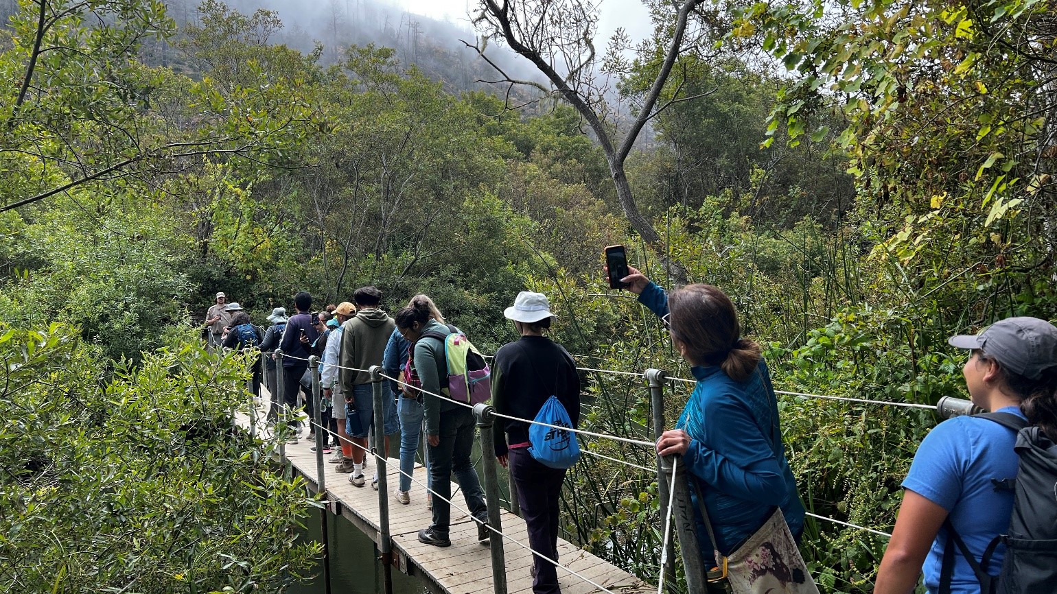 Arts in California Parks Grant Program Saved by Nature